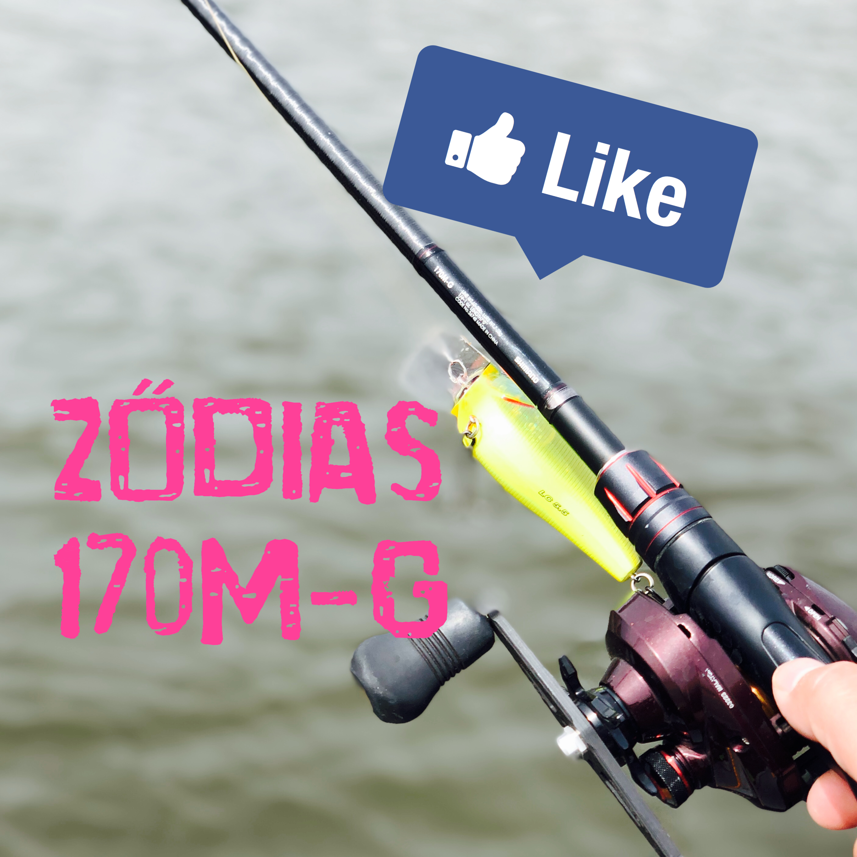 ほんとにちょーど良かった【ZODIAS 170M-G】。 |