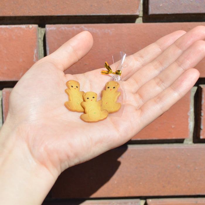 gc0458c-12_713f453c-f8cc-44c5-