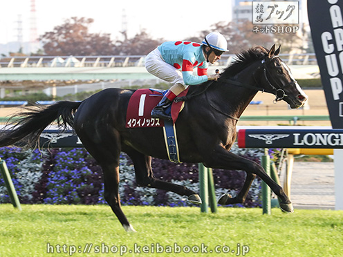 第26回 東京スポーツ杯2歳S 回顧 | 競馬 研究ニュース