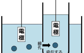 臨床検査技師国家試験ウラ解答 | 新卒も浪人生もわかりやすい過去問