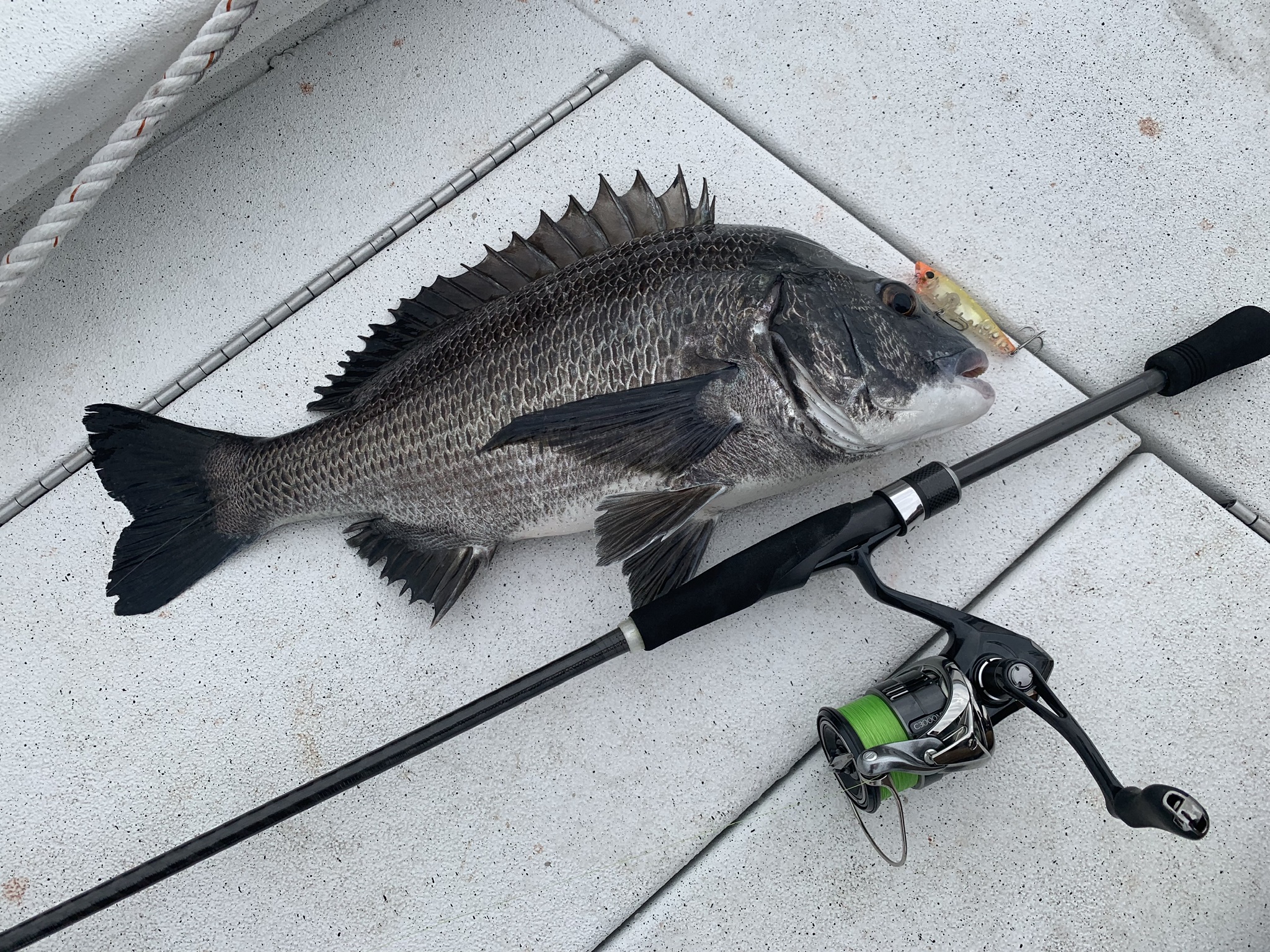 ブレニアスBB S70ML - 黒田健史の「いろはにほへと」