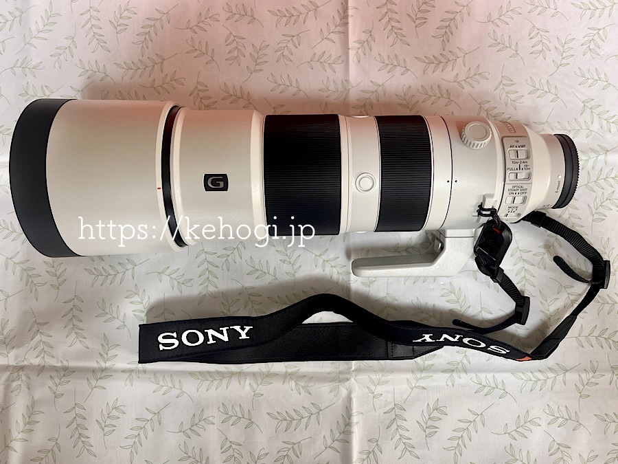 超望遠レンズ導入： Sony SEL200600G|FE 200-600mm F5.6-6.3 G OSS