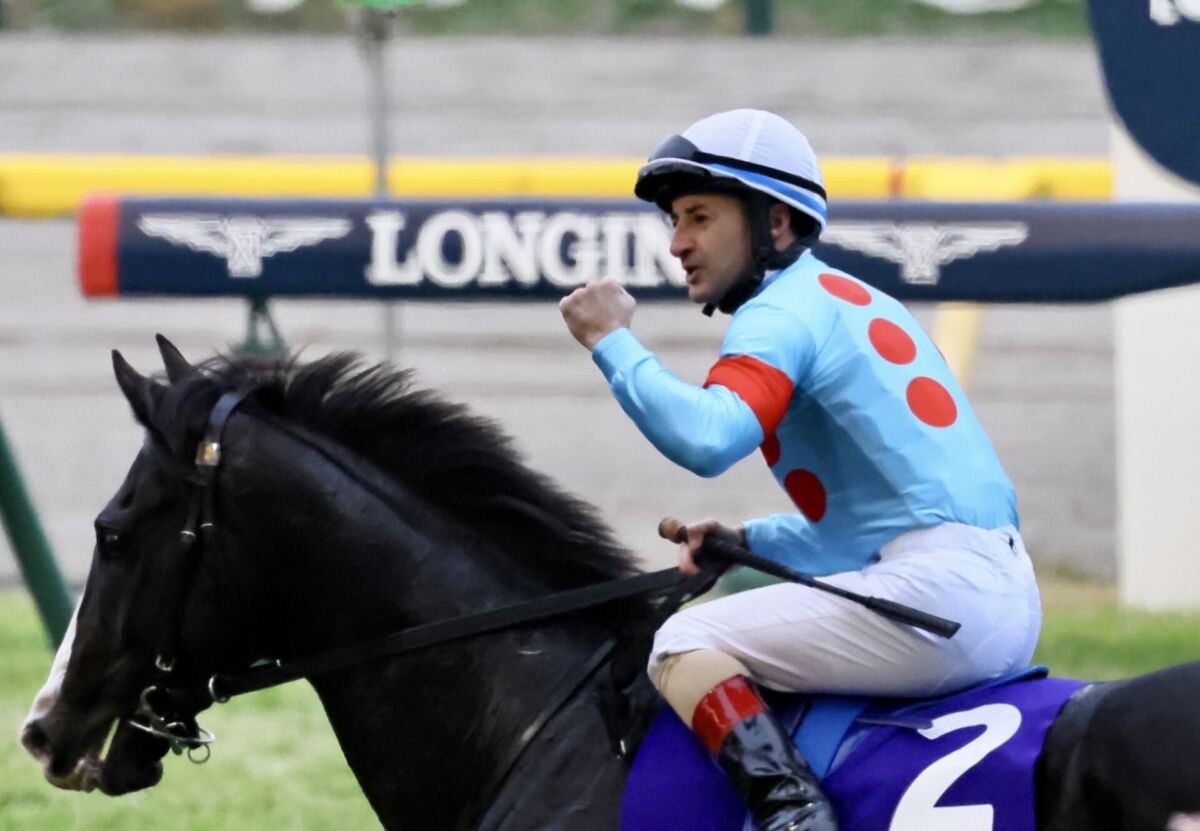 ジャパンカップレース回顧】世界最強、絶対能力の違いを見せつけたイク