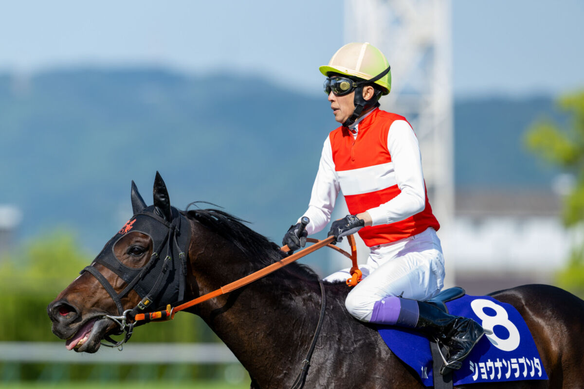 天皇賞・春】武豊「自分のレースは出来た」レース後ジョッキーコメント