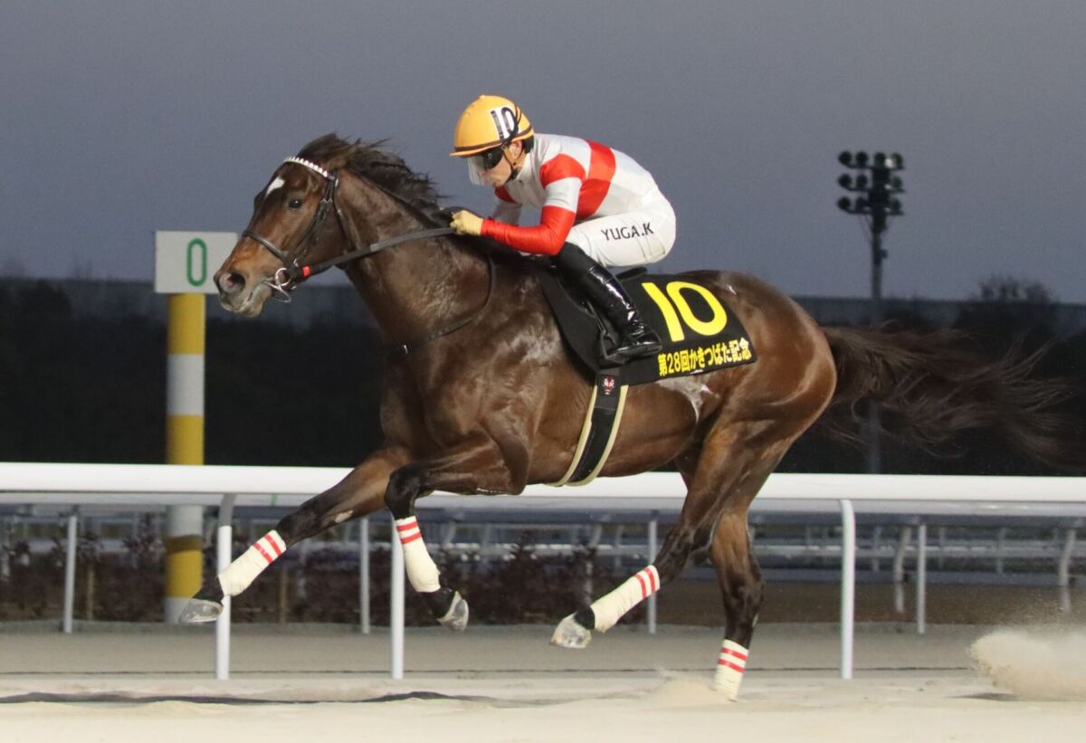 TCK】的場文男騎手が競馬開催期間外における不適切な行為により乗り