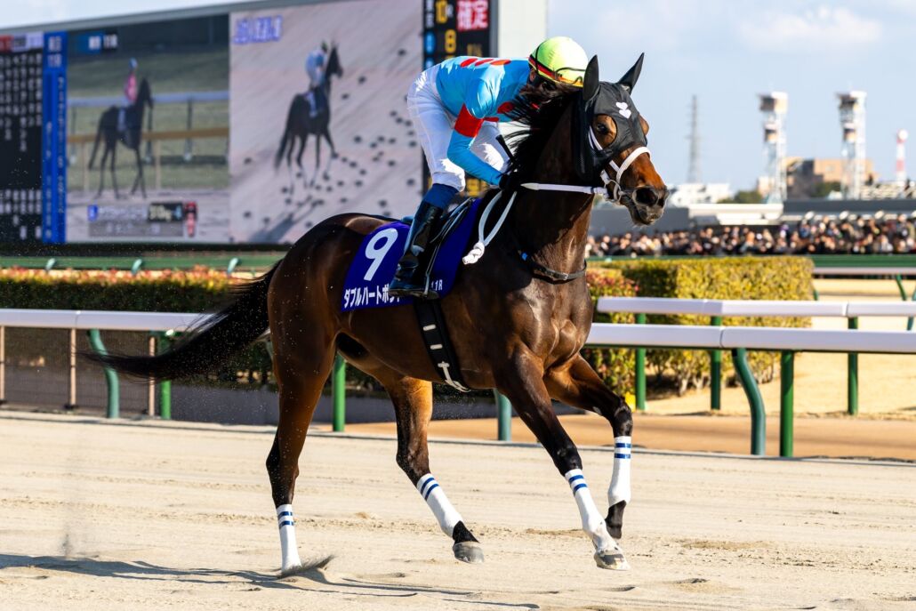 武豊騎手サイン入り ドウデュース日本ダービーレプリカゼッケンを出品