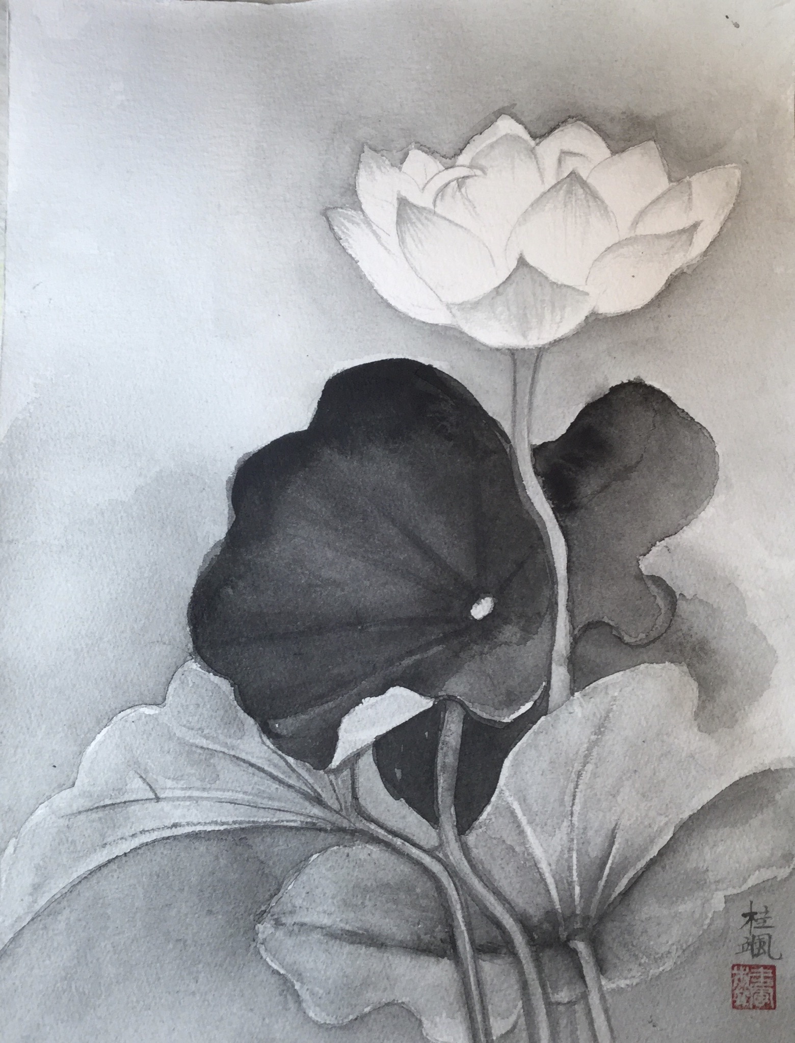 清らかに生きたAさんに捧げる、水墨画「蓮の花」 | さわやか墨彩画教室