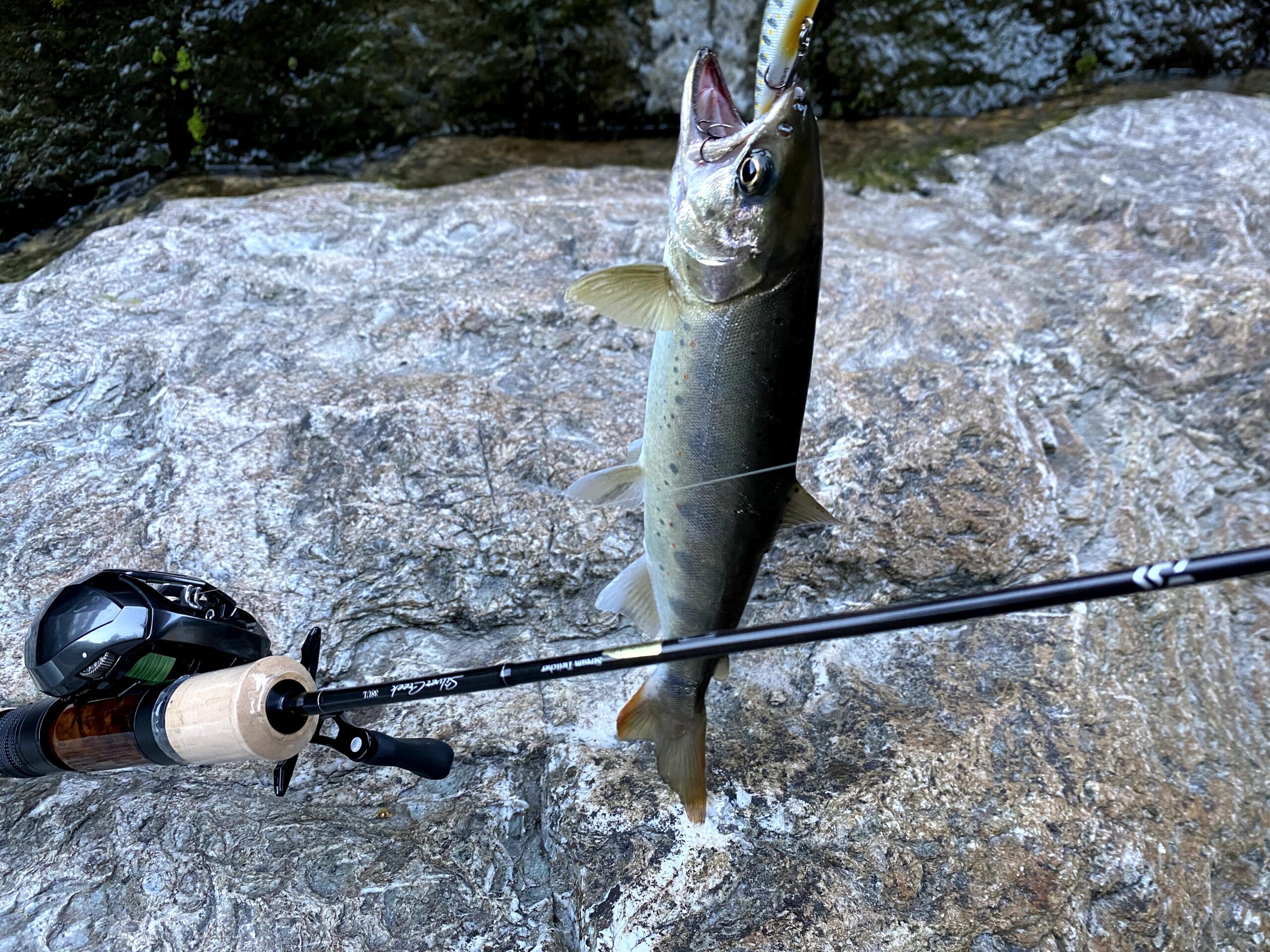 ネイティブトラウト狙いのベイトフィネスの基本装備（アマゴ・イワナ