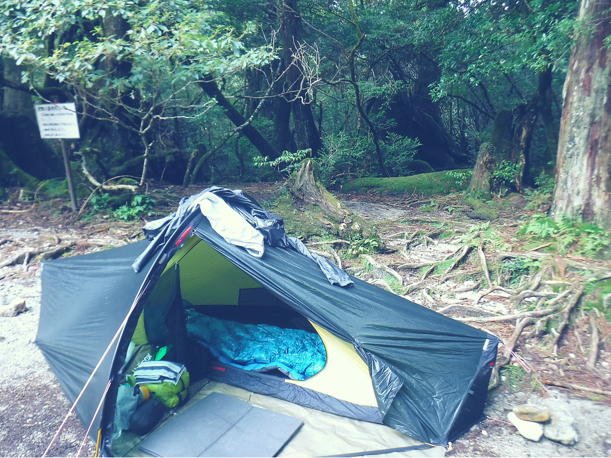 ソロキャンプ用のテント HILLEBERG（ヒルバーグ）エナン レビュー