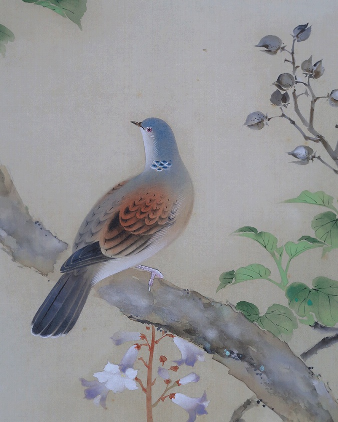 小林立堂 はつ夏 [桐] | 掛軸(掛け軸)販売／表装ご依頼は掛軸いっぷく