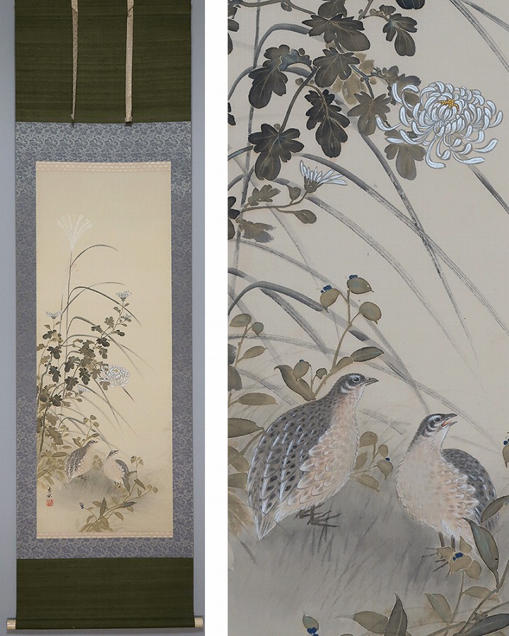 渡辺晨畝 秋菊之図 | 掛軸(掛け軸)販売／表装ご依頼は掛軸いっぷく掛軸