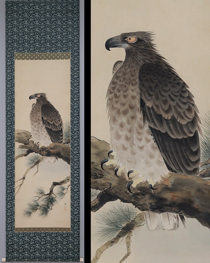 西野新川 鷹図 | 掛軸(掛け軸)販売／表装ご依頼は掛軸いっぷく掛軸