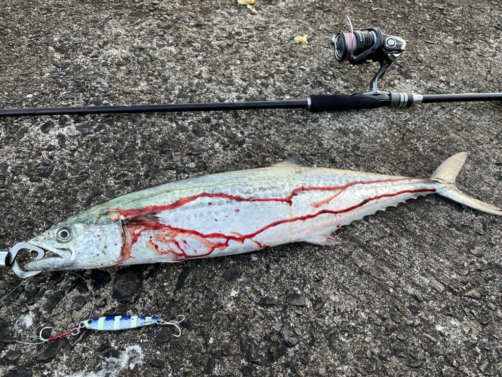 初心者必見！】なんでもこなせるロッド、シマノハードロッカーBB