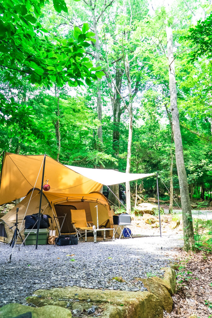 サバティカル マリポサL レビュー TCファミリータープ 坊主キャンパー