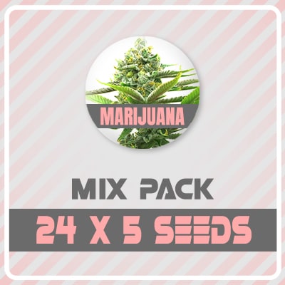 24_x_5_Marijuana_Mixed_Pack_e3