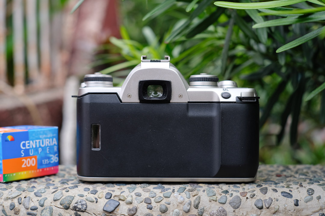 Pentax ZX-M film SLR – King