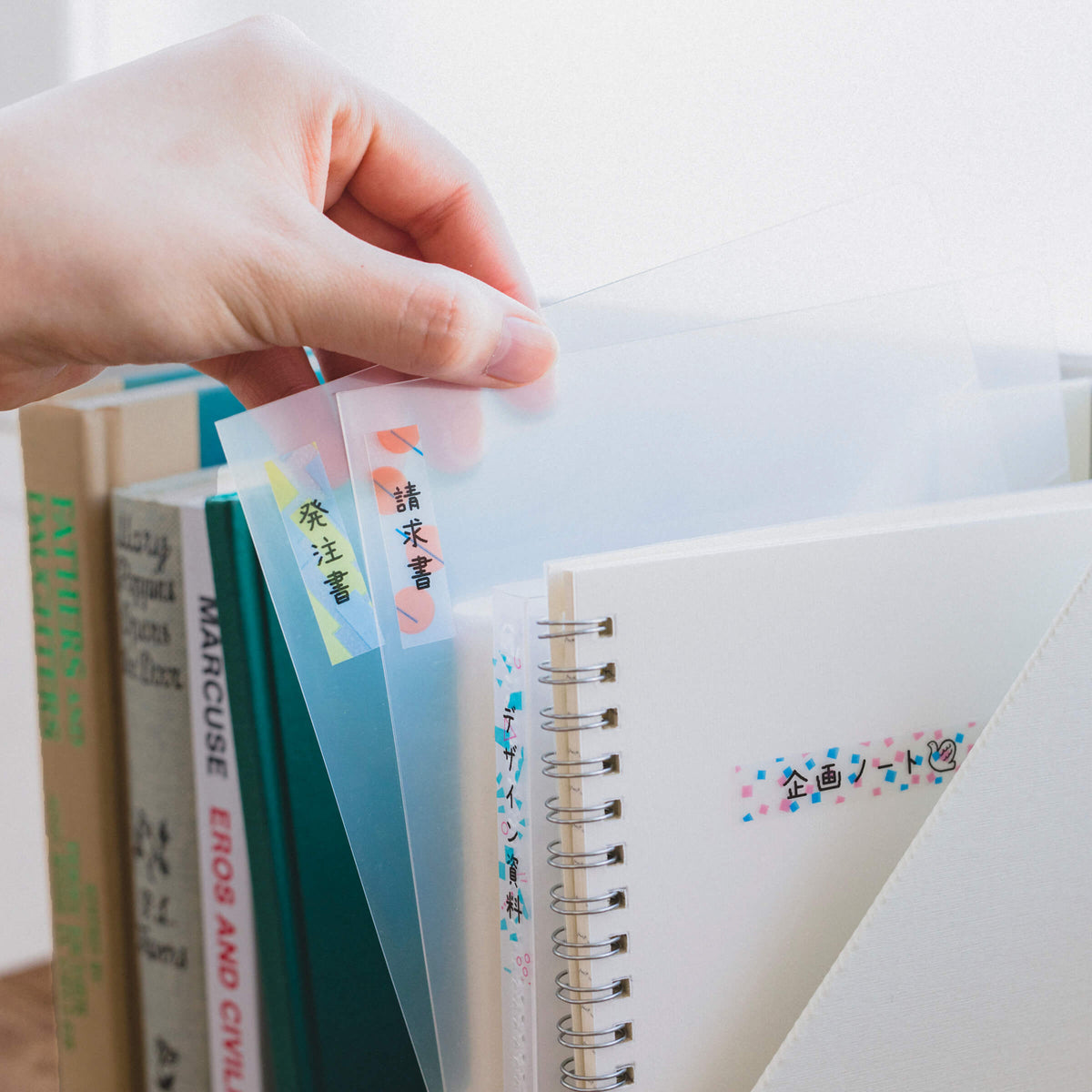 キングジム公式ストア 「テプラ」Lite フィルムテープ TPT13C-001