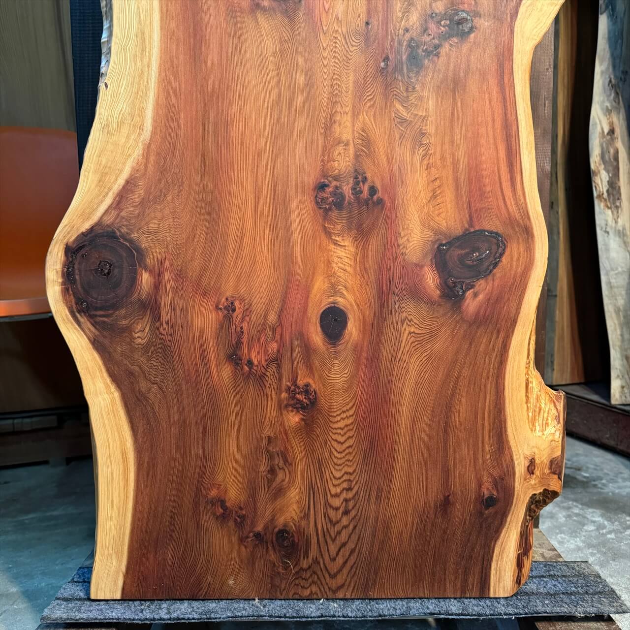 日光並木杉一枚板【高樹齢】1430×420~610×53㎜【オイル塗装 仕上げ済み