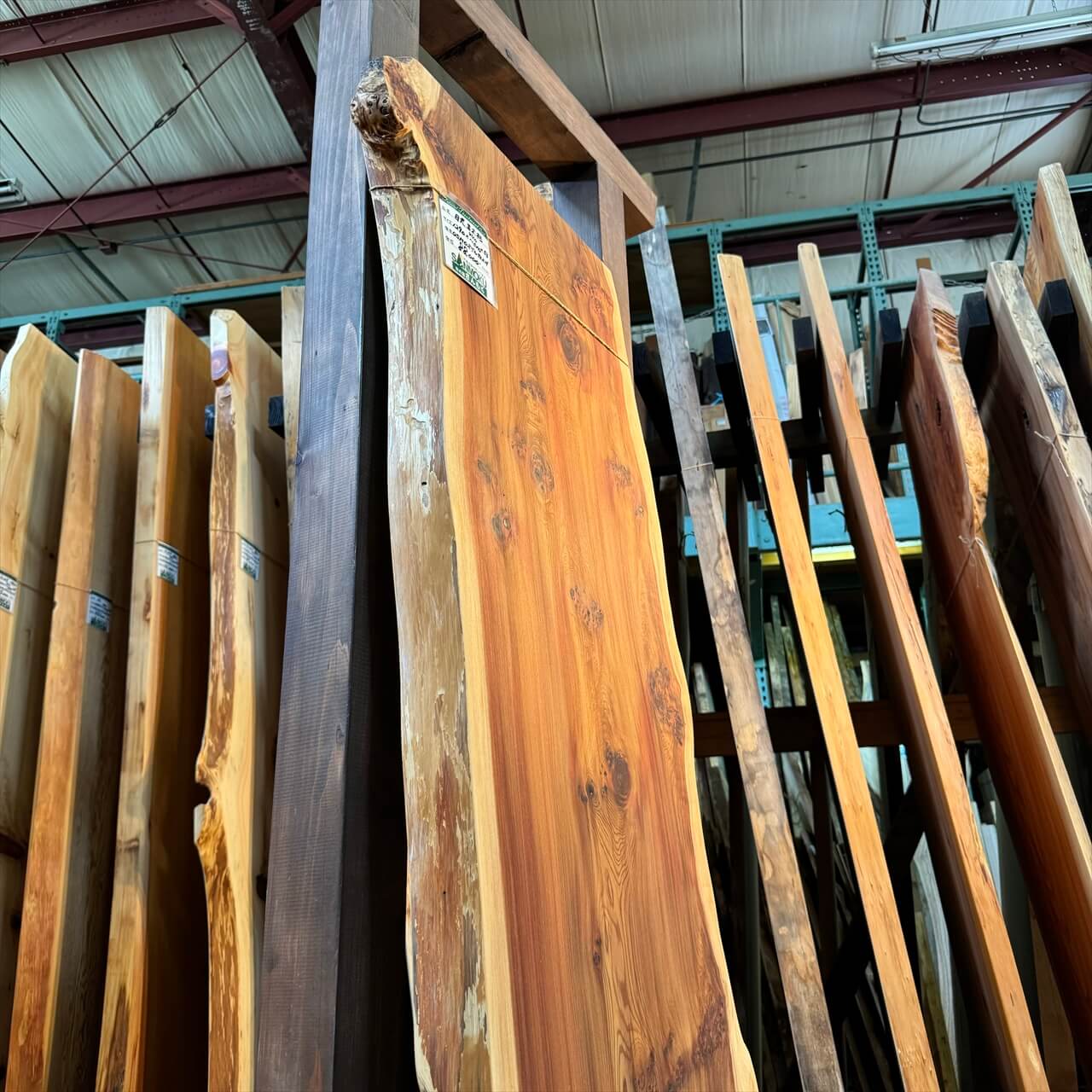 日光並木杉一枚板【高樹齢】1290×440~510×53㎜【オイル塗装 仕上げ済み