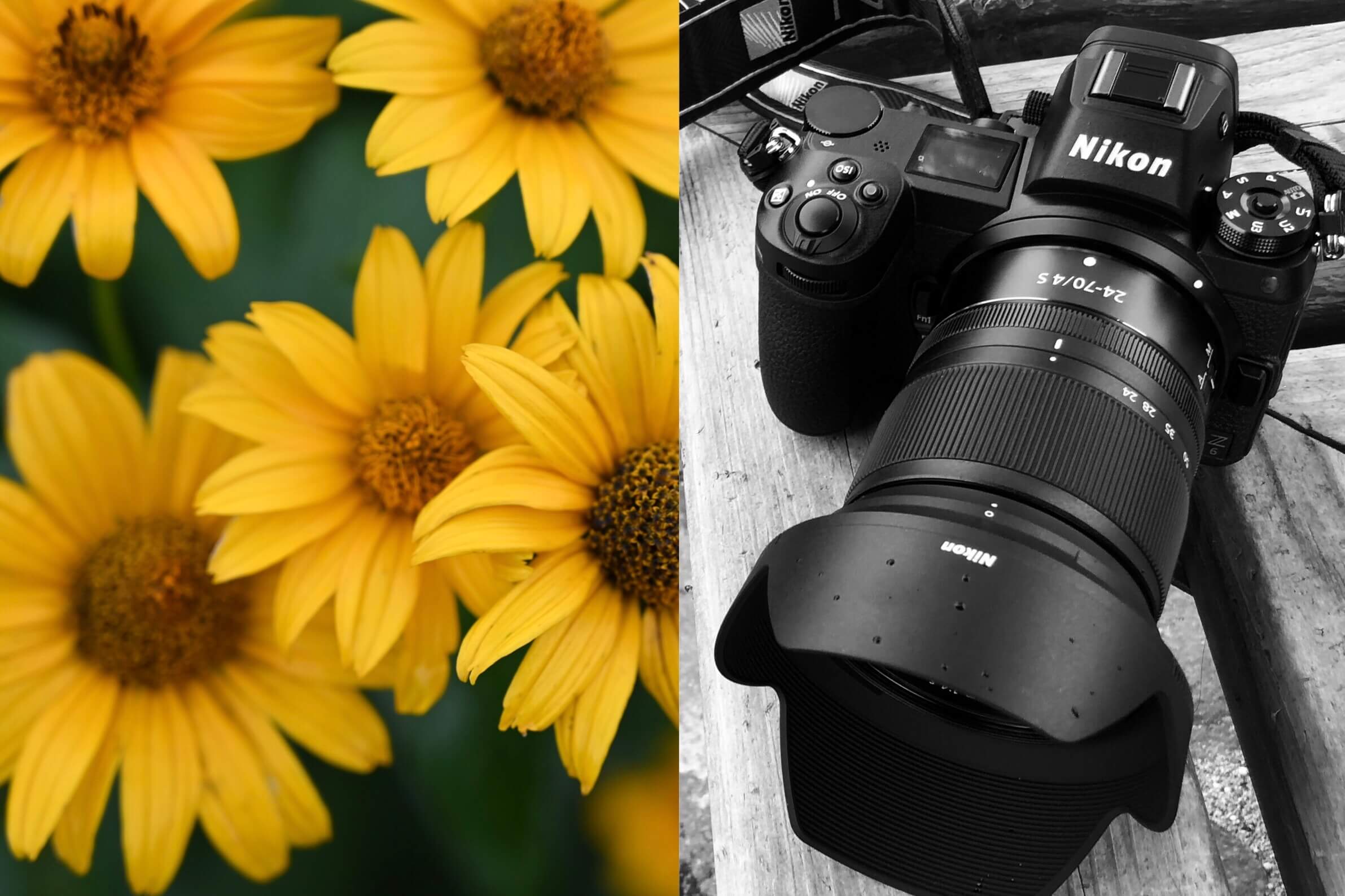 これは楽しいかも。「FUN! Nikon」、フルサイズミラーレスZ6。｜記憶カメラ