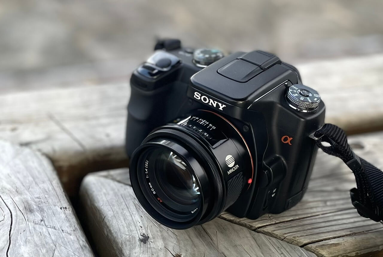 SONY α100で少し撮ってみた。CCDの懐かしい色味が蘇った。｜記憶カメラ