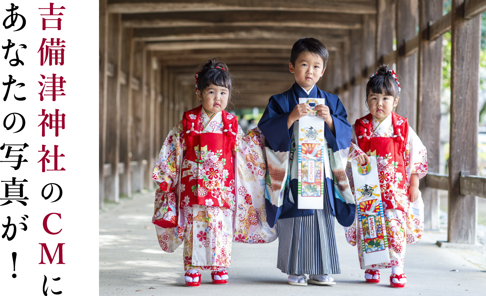 七五三写真募集｜吉備津神社