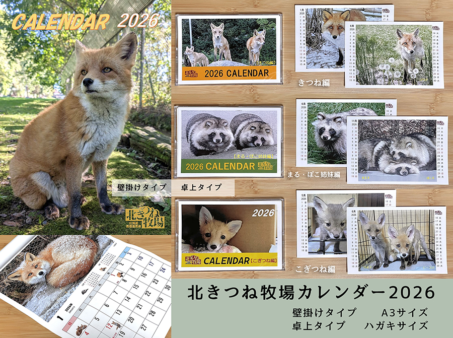 北きつね牧場カレンダー2026 壁掛けタイプ 卓上タイプ | 北きつね牧場