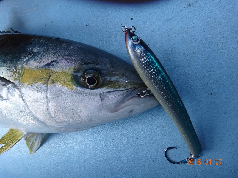 すどうちゃんの☆・Rolling Dive - 小平商店-オンラインショップ-