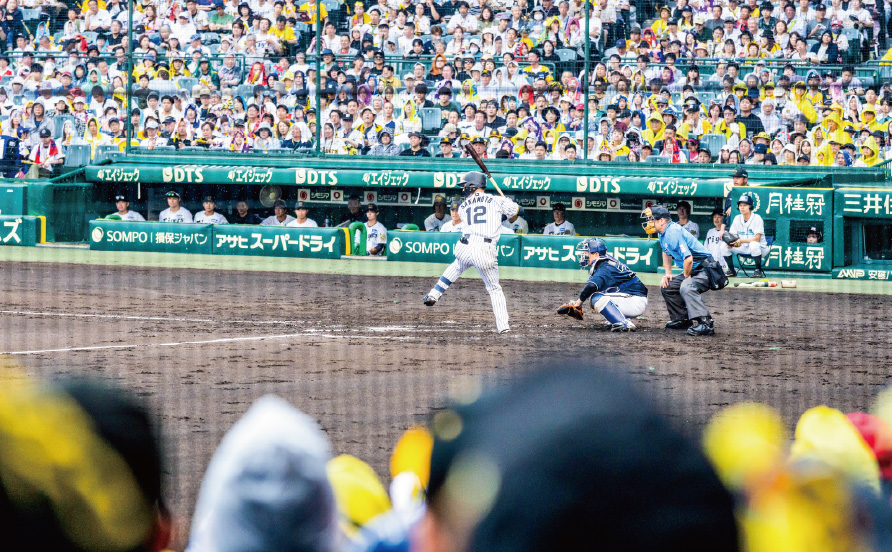シート一覧｜HANSHIN KOSHIEN STADIUM SEASON SEAT 2026｜阪神