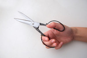 梅木本種子鋏製作所 ｜ 本種子鋏 6寸 ハサミ はさみ 鋏