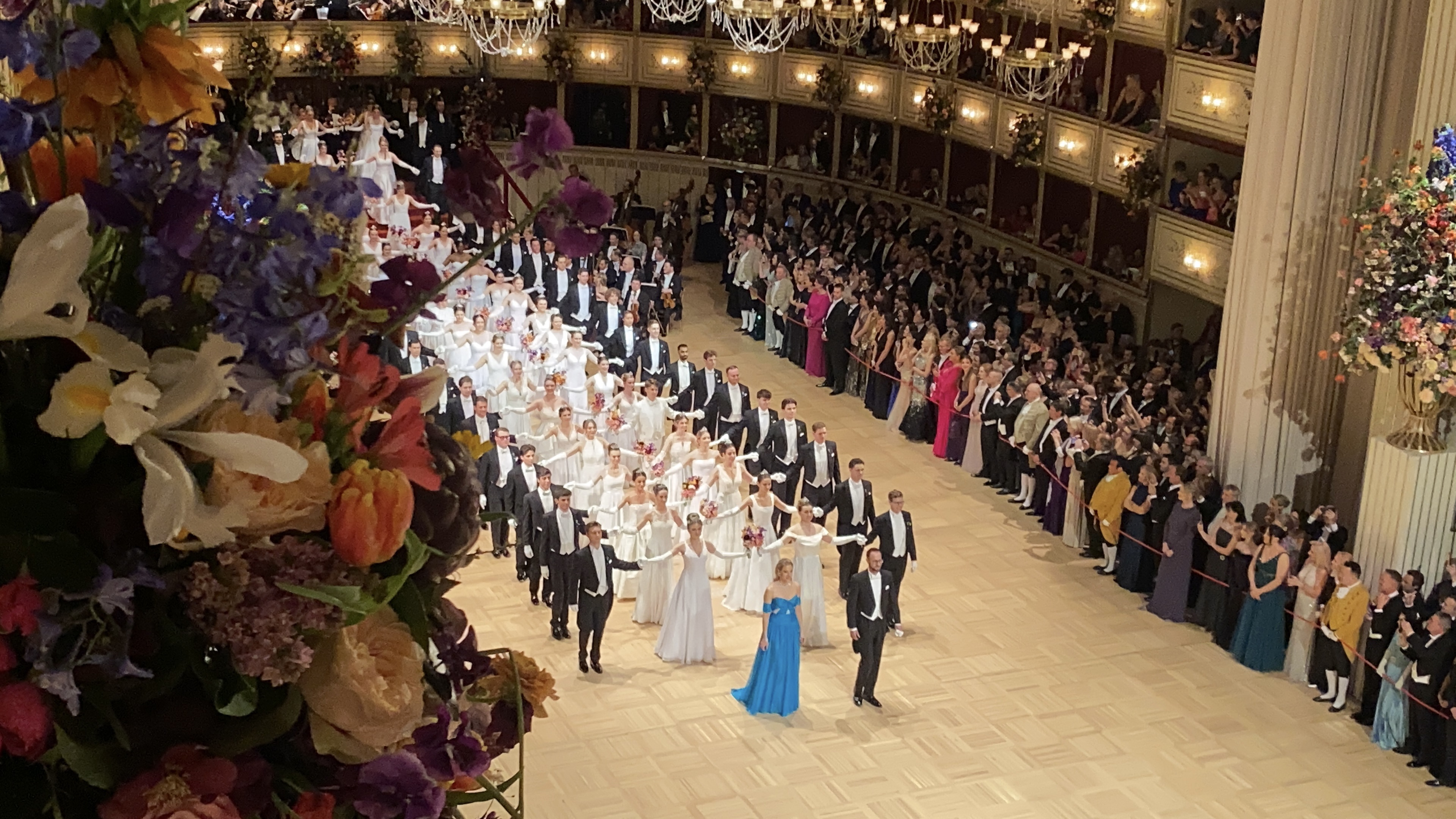 ウィーン舞踏会など文化を楽しむ｜参加レポート 日本・オーストリア