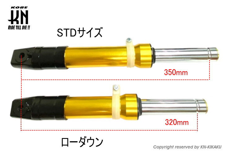 TYRANT LEGACY フロントフォーク タイラントバイクスレガシーフロント