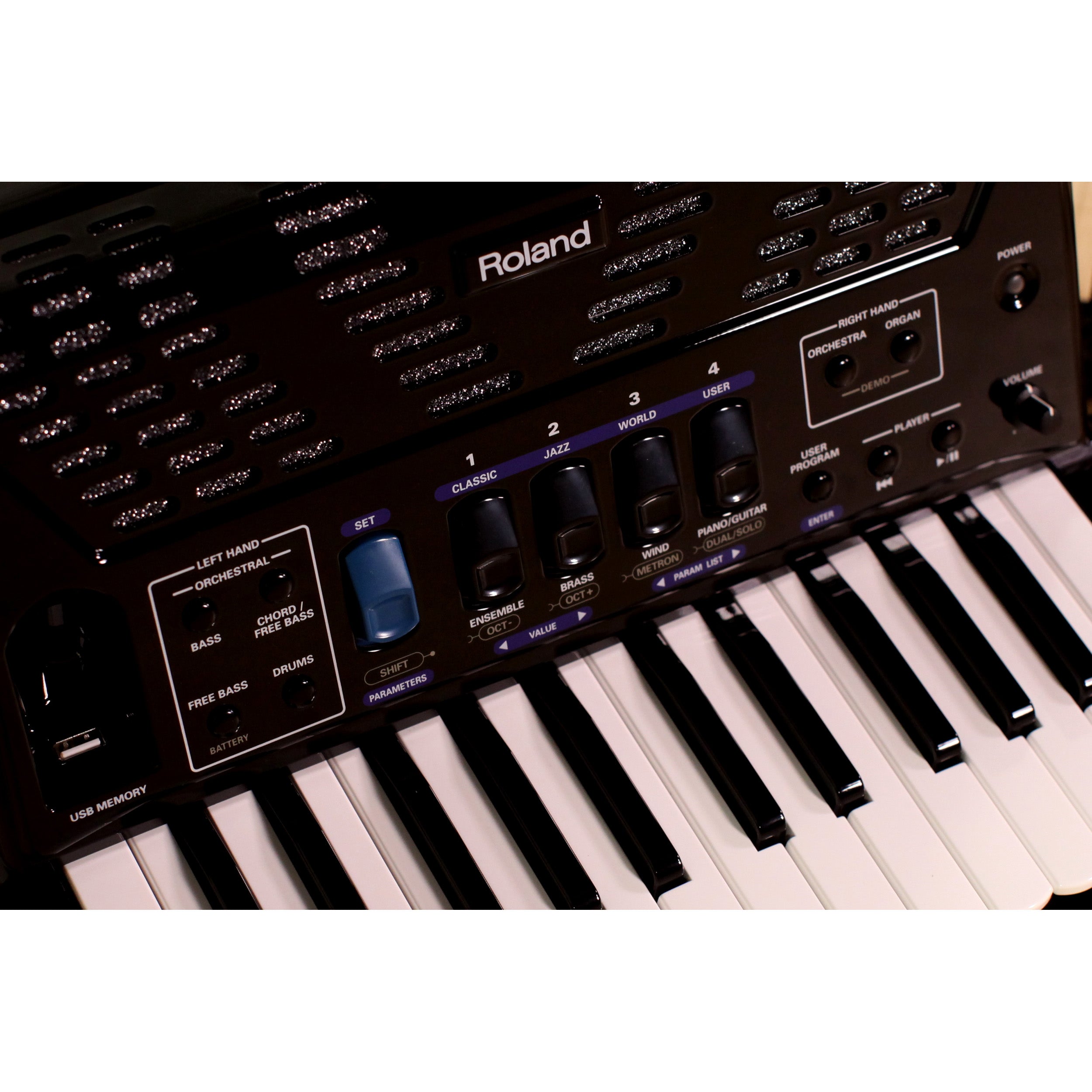 Roland FR-1x V-Accordion Lite Dale Mathis Edition - Black – Kraft