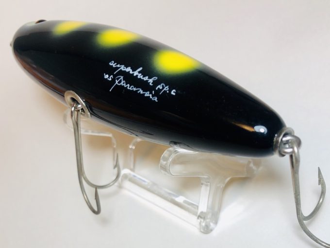 Paranoia／Dooney – くまのつりぐ