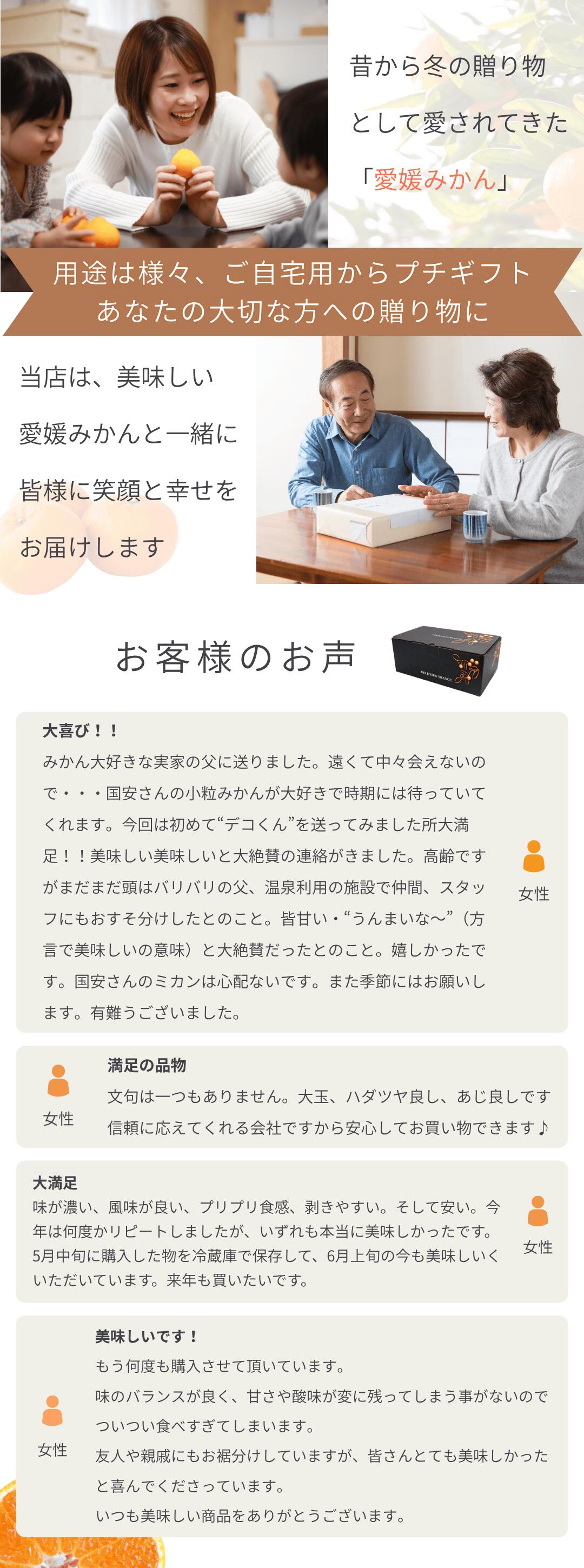 ギフトにおすすめ！愛媛西宇和産の贈答用デコくんを産地直送でお届けします