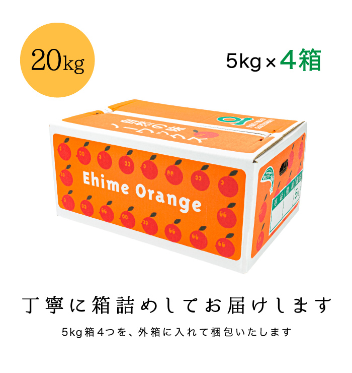 見た目傷あり・大きさ不ぞろいでお値打ち価格の愛媛西宇和産せとか【訳