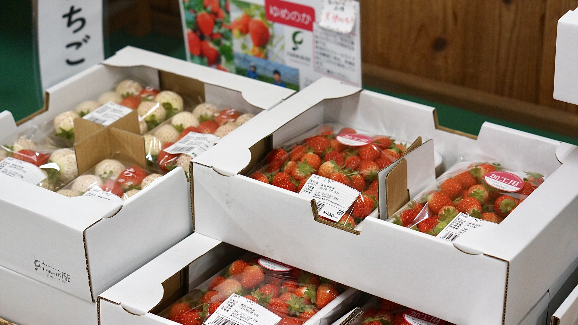 この町の農業を、未来へ。」ファーミライズ株式会社が育てるいちごと