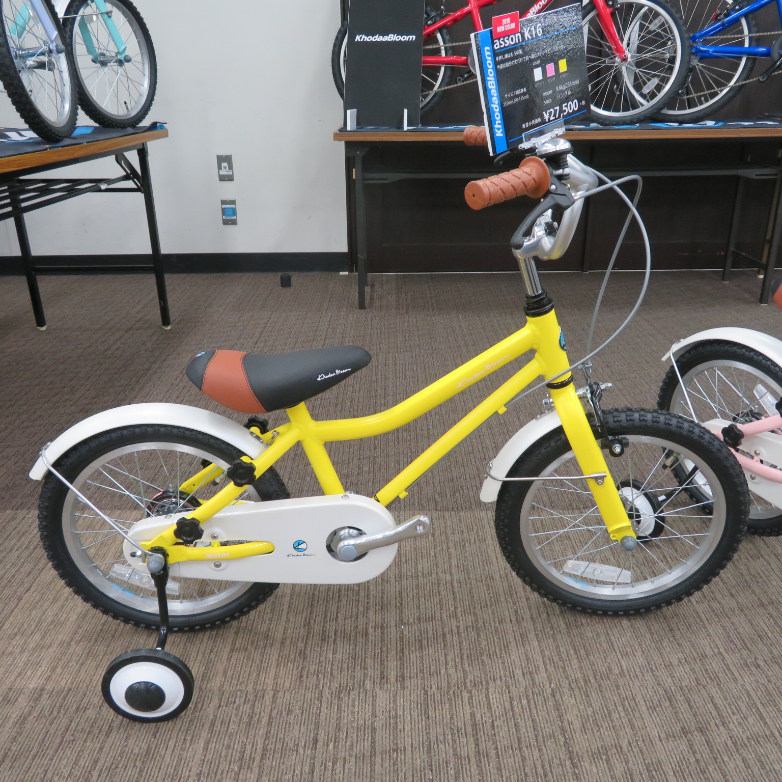 2019Khodaabloom/コーダブルーム ～ asson/アッソンシリーズご紹介