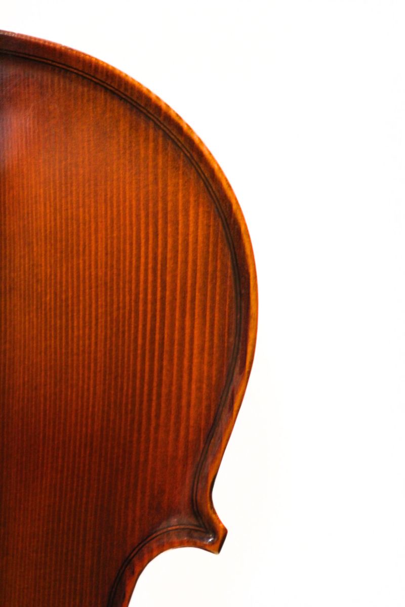 Reghin 4/4サイズ | 【クロサワ楽器店オンラインショップ】いい楽器と