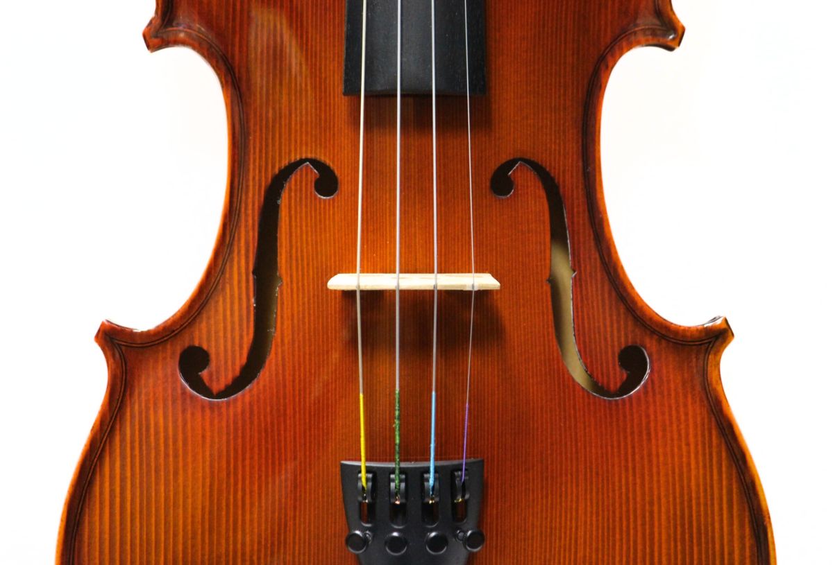 Reghin 4/4サイズ | 【クロサワ楽器店オンラインショップ】いい楽器と