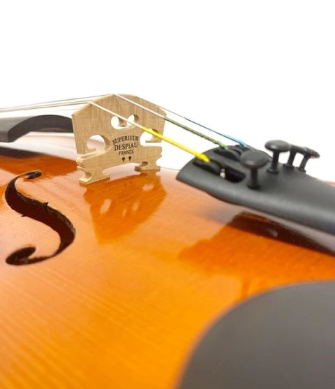 Gems 3/4サイズ (グリガ ゲムス) | 【クロサワ楽器店オンライン