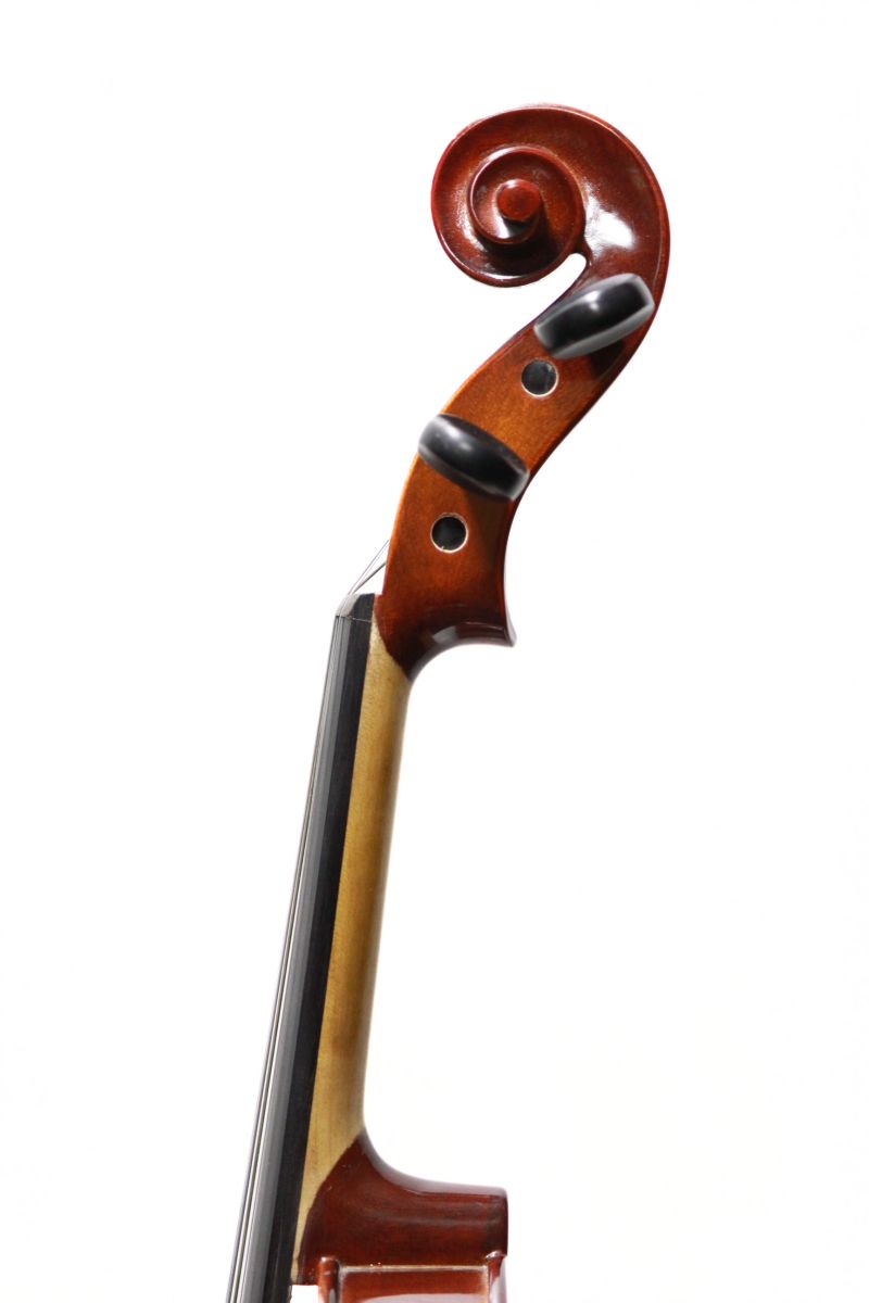 Reghin 1/2サイズ | 【クロサワ楽器店オンラインショップ】いい楽器と