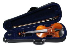 分数バイオリン、20万円～30万円未満の弦楽器検索結果一覧