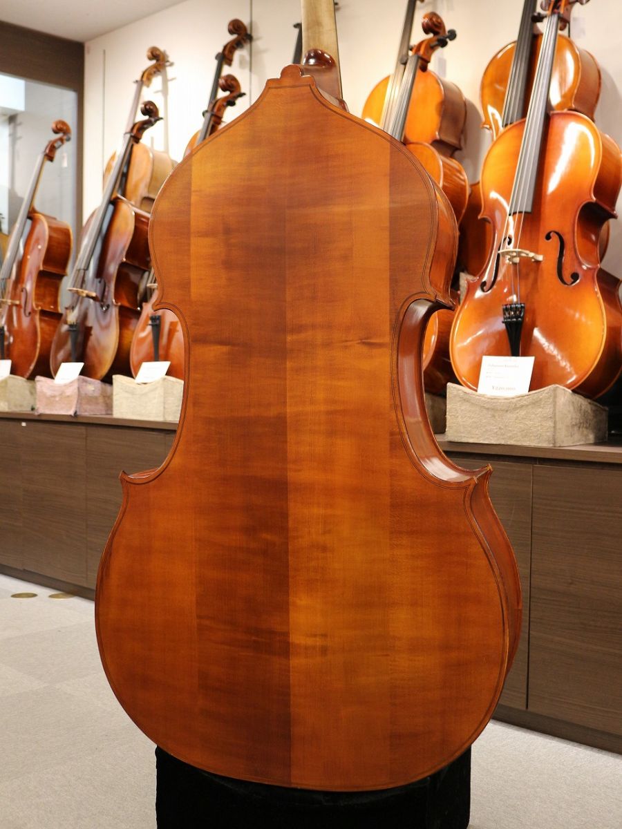 Gliga Gems II Violin Shape/Flat Back【#230622】 | 【クロサワ楽器店