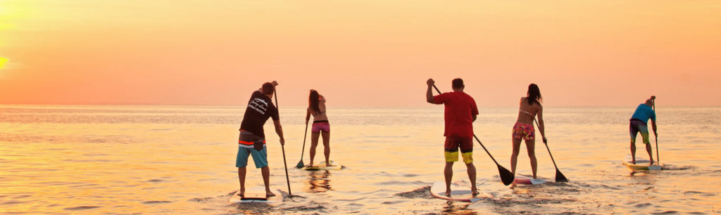 JIMMY LEWIS（ジミー・ルイス）SUPボード＆パドル ショップ – 関西