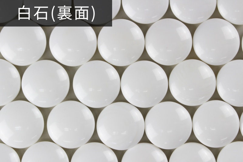 碁石 日向特産本蛤(スワブテ貝) 31号雪