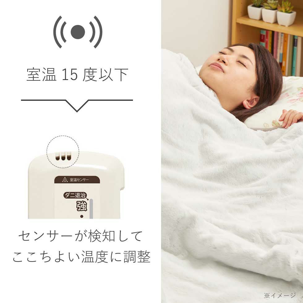 販売終了】快眠タイマー付き電気掛敷毛布188×120cmKDK-75228T