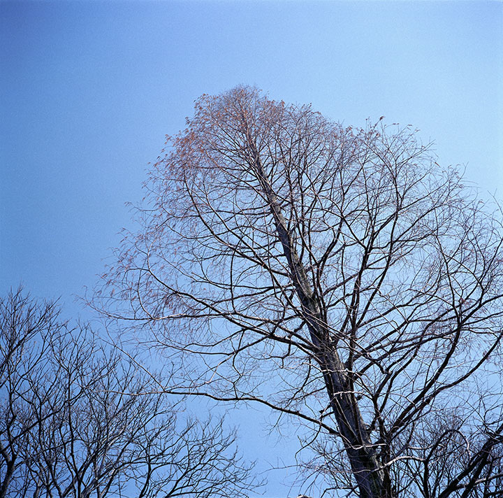 newmamiya6再値下げ】newmamiya6中判カメラ+G75/3.5＋クローズアップレンズ