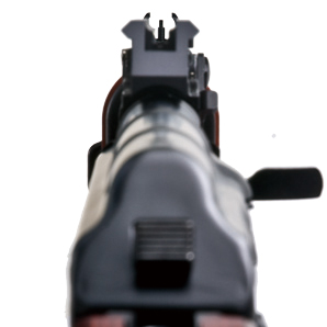 L.A.ホビーショップ / マルイ次世代AK用Claw Gearタイプ20mmレールリア