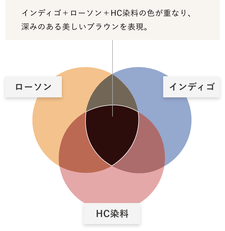 香草カラー色葉 | ランドプランニングアソシエーツ有限会社